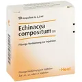 Echinacea Compositum Sn Ampullen