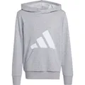 adidas Kinder Essentials Hoodie (Größe 164, grau)