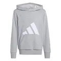 adidas Unisex Kids Essentials Big Logo Hoodie, Medium Grey Heather/White, 13-14 Years