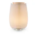 Beurer LA 45 Green Planet Aroma Diffuser Raumerfrischer LED 12 Watt
