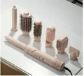 Beautifly StyleBliss Rose Hairstyler