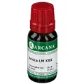 ARCANA® Arnica LM XXX