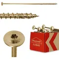 KLIMAS® Holzschrauben Torx Schrauben Set Tellerkopfschrauben Holzbauschrauben Selbstbohrende 50 Stück TX 8 mm x 300mm - Länge: 300mm
