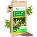 Purgrün Liguster Dünger, NPK 8+4+5, Magnesium für Blätter, 1 kg