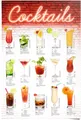 Reinders! Poster Cocktails Rezepte, (1 St)