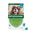Advantage Spot On für Hunde 100 mg (4-10 kg) für kleine Hunde, 4 Pipetten gegen Flöhe & Haarlinge, wirkt schnell & bei Kontakt, stoppt die Entwicklung von Flohlarven in der Umgebung