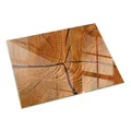 Ofenplatte Bodenplatte Ofenglas Kaminofen Holzmaserung im Querschnitt 60 x 40 cm