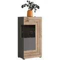 Kleine Vitrine Freno - Grau / Nox Oak