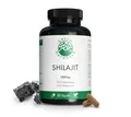 Green Naturals Shilajit 1300 mg hochdosiert vegan KAP, 139.0 g