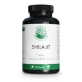 2x GREEN NATURALS Shilajit 1300 mg hochdos.vegan Kps. 180 ST
