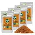 BIO Cajun Gewürzzubereitung Gewürz, ideal für Grill & BBQ 1kg
