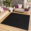 TAPISO Mono Quadrat Teppich Kurzflor Indoor Outdoor UV-beständig Schwarz Einfarbig Wohnzimmer Schlafzimmer Kinderzimmer Modern ÖKO-TEX 200 x 200 cm