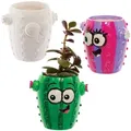 Kaktus-Mini-Keramik Sukkulenten-Töpfe (pro Set 4) Keramik & Porzellan