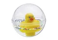 Mattel Fisher Price Entchenball