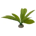 Aqua Della Dekoration Echinodorus 24 cm grün für Aquarium/Terrarium