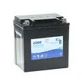 Exide exagm1231 Wasserfahrzeuge/Schneemobile, 12V - 30 AH - 380 A EN