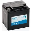 Akku Exide Agm12-31 Ce U