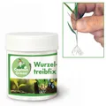 Captain Green Wurzeltreibfix Wurzelaktivator Stecklingspulver 30 g