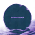 Elwood Stray Descending (CD)