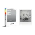 Polaroid B&W Film für 600