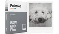 POLAROID 600 Schwarzweiss (8 Aufn.) (Polar. 600) (Angebot)