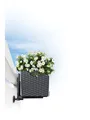 Lechuza® Blumenkastenhalter Lechuza Balkonkastenhalter schwarz