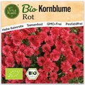 Kornblume Samen Rot (BIO) - 150 Samen Blumensamen Kornblumensamen Rot