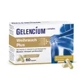 Gelencium Weihrauch Plus Hochdosiert M.vit.c Kaps. 60 St