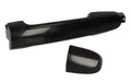 BLIC 6010-19-059403P Türgriff für TOYOTA