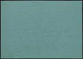 Erwin Müller Fußmatte Mainz, Schmutzfangmatte, Sauberlaufmatte uni jade Größe 60x85 cm - rutschfest, pflegeleicht, für Fußbodenheizung geeignet (weitere Farben, Größen)
