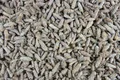1000Kräuter Kiefernsprossen ganz Kiefernknospen Kräutertee Tee 200 g