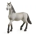 Schleich Schleich Pura Raza Espanola Jung. | Kunststoff | 10,3 x 3,1 x 10,7 cm