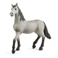 schleich® 13924 HORSE CLUB Pura Raza Espanola Jungpferd