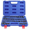 WORKPRO 60-teiliger Torx-Bit- und Externe Torx-Einsatzsatz, S2 Bit Satz, 1/4", 3/8", 1/2" Antrieb, T6-T70, TT6-TT70, TP8-TP60, E4-E24, mit Aufbewahrungsbox
