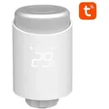 Smart Thermostat Heizkörperventil Avatto TRV10 Zigbee Tuya