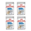 Royal Canin Light Weight Care Mousse | 4er Pack | 4 x 12 x 85 g | Alleinfuttermittel für ausgewachsene Hunde ab dem 10. Lebensmonat | Für Hunde mit Neigung zur Gewichtszunahme