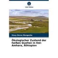Ökologischer Zustand der heißen Quellen in Ost-Amhara Äthiopien von Sisay Derso Mengesha / Verlag Unser Wissen / Taschenbuch