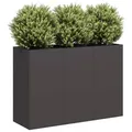 vidaXL Pflanzkübel Schwarz 120x40x80 cm Kaltgewalzter Stahl