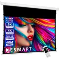 ESMART Professional TATENSO Tension Leinwand Glasfaser 221 x 125 cm (100") 16:9