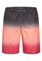 CAMP DAVID Badeshorts Badeshorts Swimshorts (1-St)