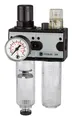 Riegler Wartungseinheit multifix G1/4" 0,5-10 bar 2tlg. BG1 - 100566