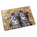 Läufer Motiv 40x53 Katze/Stroh (53 x 40 cm) (4006677466374)