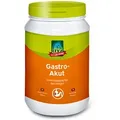 3 kg LEXA Gastro-Akut für Pferde
