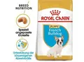 ROYAL CANIN Französische Bulldogge Puppy 3 kg