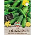 Mein schöner Garten DE SPERLI Einlegegurken-Samen 'Conny', F1 EH001592-001