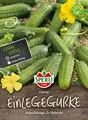 Einlegegurkensamen Conny F1 (Ersatz für Bimbostar), rein weiblich, hohe Erträge, sehr robust und resistent, Inhalt: für ca. 20 Pflanzen, Saatgut von Sperli