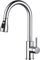 FORIOUS Wasserhahn Küche, Hochdruck Küchenarmatur Herausziehbarer Brause Chrom