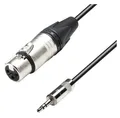 Adam Hall K5 MYF 0150 XLR/3,5mm Klinkenkabel 1,5m
