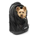 Kurgo G-Train Hundetransportrucksack - Bequemer Reiserucksack für kleine Hunde bis zu 11 kg - Robustes Design - Laptopfach - Armorsole-Boden - Wasserabweisend - Schwarz