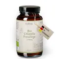 Waldkraft Bio Chlorella Presslinge | 100 % Chlorella vulgaris aus ökologischem Anbau | Hoher Chlorophyllgehalt | Ohne Zusatzstoffe & Schwermetalle | Vegan & GMO-frei | 220 Stück im Braunglas